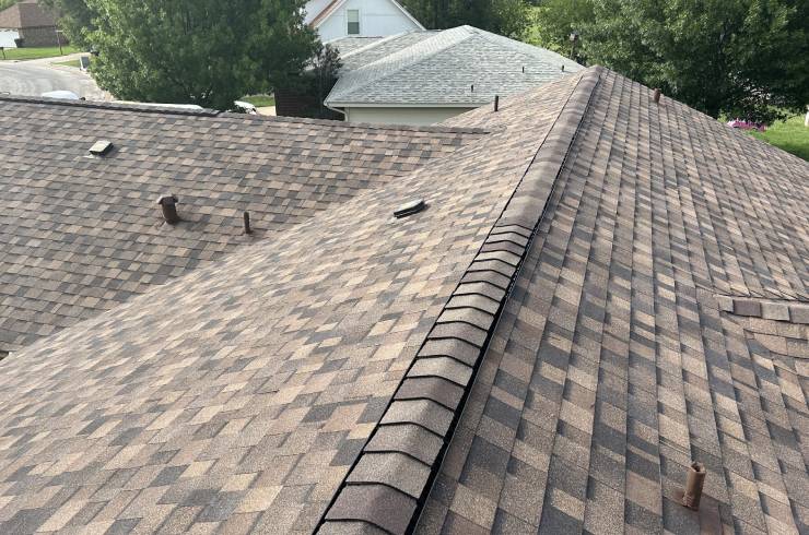 The Roof Guy